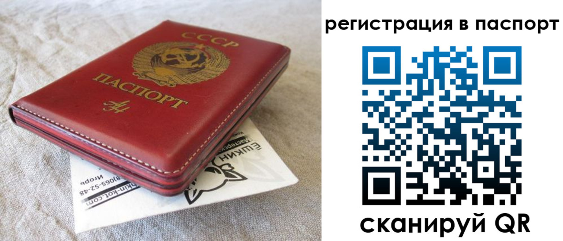 где прописаться в Красном Куте